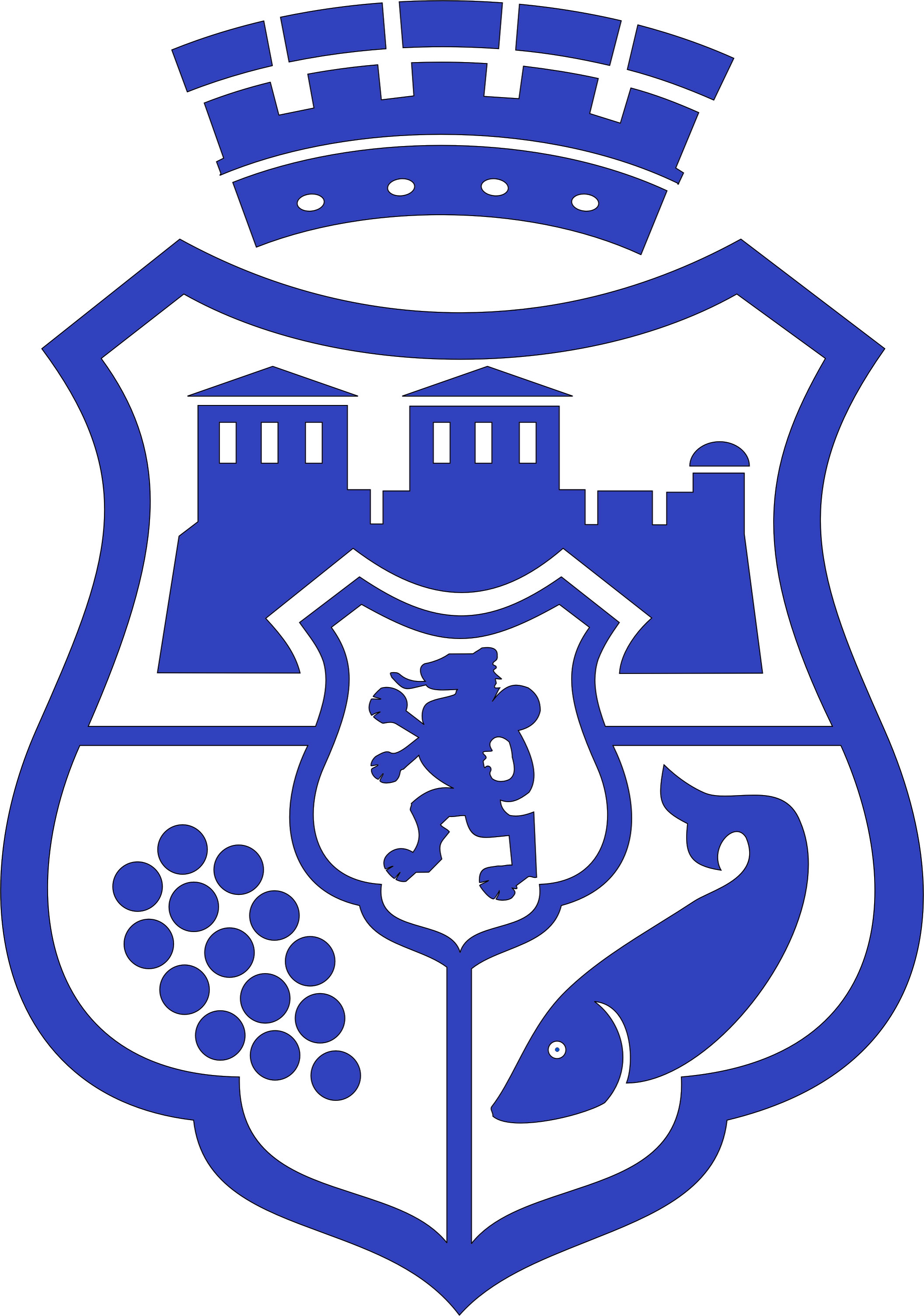Герб Видин